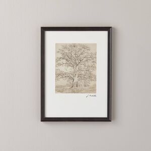 Hearth & Hand 12x16 Great Oak Tree Framed Sketch Wall Art